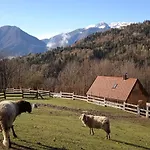 Gospodarstwo agroturystyczne Navauce