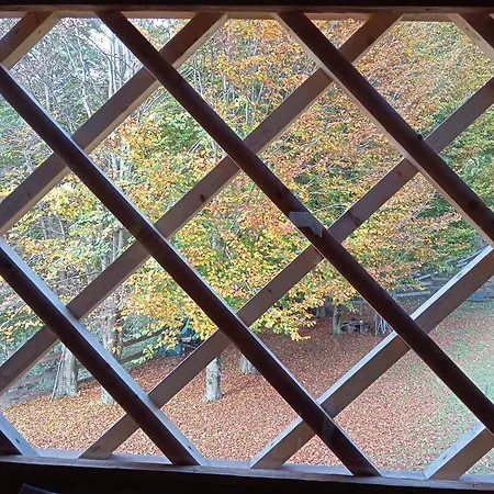 Navauce Séjour à la ferme Raveo